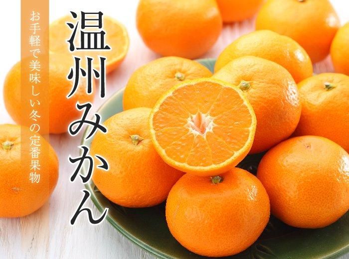 みかん 温州みかん 産地厳選 風のいたずら ちょっと訳あり 大き
