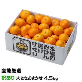 <img class='new_mark_img1' src='https://img.shop-pro.jp/img/new/icons1.gif' style='border:none;display:inline;margin:0px;padding:0px;width:auto;' />みかん 温州みかん 産地厳選 風のいたずら ちょっと訳あり 大きさおまかせ 4.5kg お取り寄せ 【10月上旬より順次発送】