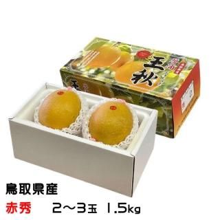 <img class='new_mark_img1' src='https://img.shop-pro.jp/img/new/icons1.gif' style='border:none;display:inline;margin:0px;padding:0px;width:auto;' />  夦ʤ ֽ 23 1.5kg Ļ踩  ʥ ʤ11ܤ缡ȯ