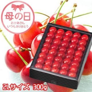  2025  ͤ  2L 300g Ȣ  51511δ֤ˤϤޤջԲġˡ