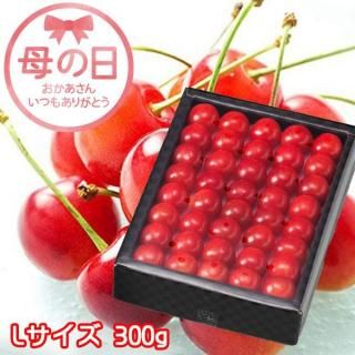 ٤Ƥ  2023  ͤ  L 300g Ȣ  515ʹ߽缡ȯջԲġˡ