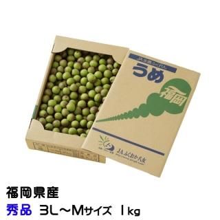 <img class='new_mark_img1' src='https://img.shop-pro.jp/img/new/icons13.gif' style='border:none;display:inline;margin:0px;padding:0px;width:auto;' />    3LM 1kg JAʡȬ ʡ 5ܤ缡ȯ