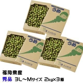 <img class='new_mark_img1' src='https://img.shop-pro.jp/img/new/icons13.gif' style='border:none;display:inline;margin:0px;padding:0px;width:auto;' />    2kg3Ȣ 3LM JAʡȬ ʡ 5ܤ缡ȯ