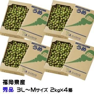 <img class='new_mark_img1' src='https://img.shop-pro.jp/img/new/icons13.gif' style='border:none;display:inline;margin:0px;padding:0px;width:auto;' />    2kg4Ȣ 3LM JAʡȬ ʡ 5ܤ缡ȯ