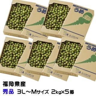 <img class='new_mark_img1' src='https://img.shop-pro.jp/img/new/icons13.gif' style='border:none;display:inline;margin:0px;padding:0px;width:auto;' />    2kg5Ȣ 3LM JAʡȬ ʡ 5ܤ缡ȯ
