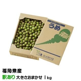 <img class='new_mark_img1' src='https://img.shop-pro.jp/img/new/icons13.gif' style='border:none;display:inline;margin:0px;padding:0px;width:auto;' />   Τ  礭ޤ 1kg JAʡȬ ʡ 5ܤ缡ȯ