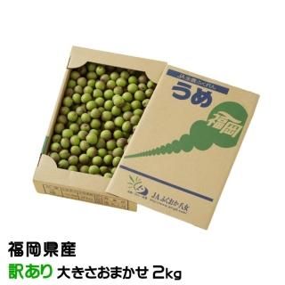 <img class='new_mark_img1' src='https://img.shop-pro.jp/img/new/icons13.gif' style='border:none;display:inline;margin:0px;padding:0px;width:auto;' />   Τ  礭ޤ 2kg JAʡȬ ʡ 5ܤ缡ȯ