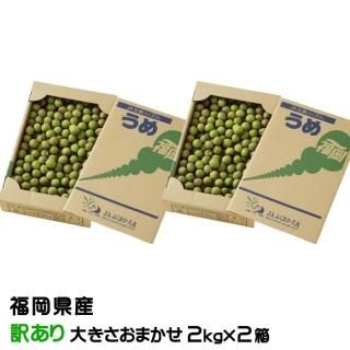 <img class='new_mark_img1' src='https://img.shop-pro.jp/img/new/icons13.gif' style='border:none;display:inline;margin:0px;padding:0px;width:auto;' />   Τ  2kg2Ȣ 礭ޤ JAʡȬ ʡ 5ܤ缡ȯ