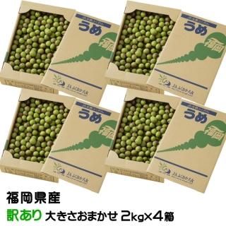 <img class='new_mark_img1' src='https://img.shop-pro.jp/img/new/icons13.gif' style='border:none;display:inline;margin:0px;padding:0px;width:auto;' />   Τ  2kg4Ȣ 礭ޤ JAʡȬ ʡ 5ܤ缡ȯ