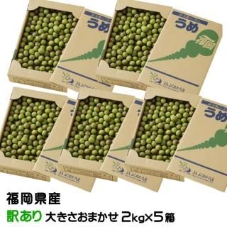 <img class='new_mark_img1' src='https://img.shop-pro.jp/img/new/icons13.gif' style='border:none;display:inline;margin:0px;padding:0px;width:auto;' />   Τ  2kg5Ȣ 礭ޤ JAʡȬ ʡ 5ܤ缡ȯ