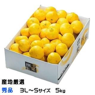 ߤ Ϥ뤫 ϸ  3LS 5kg  ߥ ե £ʪ2ܤ缡ȯ