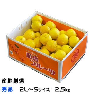 みかん はるか 秀品 2L〜Sサイズ 2.5kg 産地厳選 柑橘 ミカン ギフト 贈り物【3月上旬より順次発送】