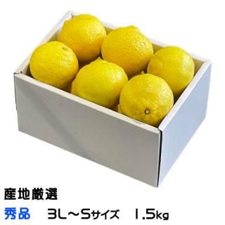 ߤ Ϥ뤫 ϸ  3LS 1.5kg  ߥ ե £ʪ2ܤ缡ȯ