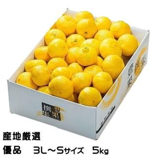 ߤ Ϥ뤫 ϸ ͥ 3LS 5kg  ߥ ե £ʪ2ܤ缡ȯ