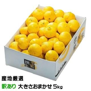 ߤ Ϥ뤫 Τ  礭ޤ 5kg ϸ  ߥ3ܤ缡ȯ
