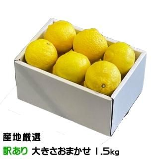 ߤ Ϥ뤫 Τ  礭ޤ 1.5kg ϸ  ߥ3ܤ缡ȯ