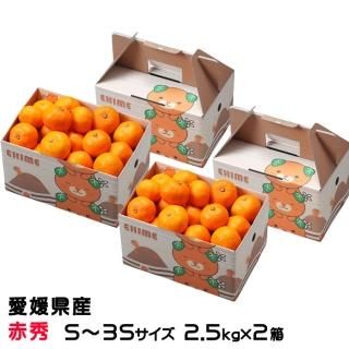 <img class='new_mark_img1' src='https://img.shop-pro.jp/img/new/icons1.gif' style='border:none;display:inline;margin:0px;padding:0px;width:auto;' />みかん 極旨小玉みかん 2.5kg×2箱 赤秀 S〜3Sサイズ 糖度12度以上 愛媛県産 ミカン 蜜柑 【11月上旬より順次発送】