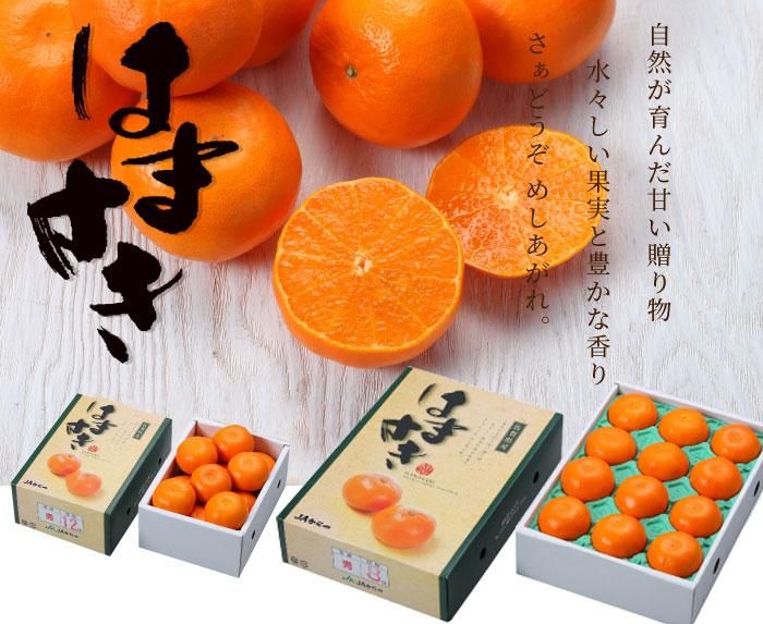 みかん はまさき 優品 4L～Lサイズ 5kg 佐賀県産 JAからつ