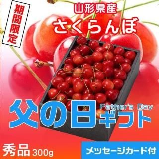 <img class='new_mark_img1' src='https://img.shop-pro.jp/img/new/icons1.gif' style='border:none;display:inline;margin:0px;padding:0px;width:auto;' />٤Ƥ  2025   2LM Ȣ  ե ץ쥼ȡ616缡ȯޤջԲġˡ
