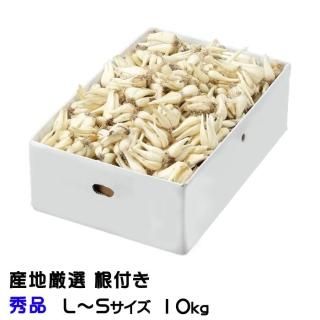 <img class='new_mark_img1' src='https://img.shop-pro.jp/img/new/icons13.gif' style='border:none;display:inline;margin:0px;padding:0px;width:auto;' />դ ä礦 ϸ  LS 10kg 5ܤ缡ȯ