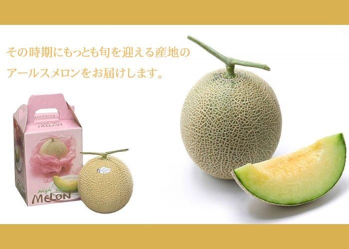 メロン アールスメロン 1.2Kg×1玉 産地厳選 ギフト 【7月上旬