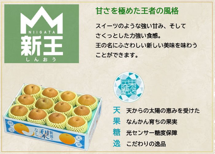 梨 新王 しんおう 糖鮮確実 6～18玉 5kg 糖度13度以上 新潟県産 なし ナシ 【10月上旬より順次発送】 - はちやフルーツ