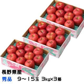 お歳暮 りんご サンふじ 3kg×3箱 秀品 9〜15玉 長野県産 信州高山さわやかりんご 林檎 リンゴ 【11月下旬より順次発送】