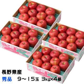 お歳暮 りんご サンふじ 3kg×4箱 秀品 9〜15玉 長野県産 信州高山さわやかりんご 林檎 リンゴ 【11月下旬より順次発送】