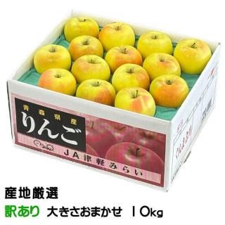 <img class='new_mark_img1' src='https://img.shop-pro.jp/img/new/icons1.gif' style='border:none;display:inline;margin:0px;padding:0px;width:auto;' /> ̾ ϸ  Τ 礭ޤ 10kg Ӹ  ե