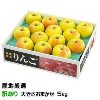 <img class='new_mark_img1' src='https://img.shop-pro.jp/img/new/icons1.gif' style='border:none;display:inline;margin:0px;padding:0px;width:auto;' /> ̾ ϸ  Τ 礭ޤ 5kg Ӹ  ե