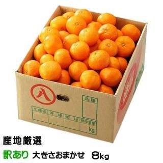 <img class='new_mark_img1' src='https://img.shop-pro.jp/img/new/icons1.gif' style='border:none;display:inline;margin:0px;padding:0px;width:auto;' />みかん 温州みかん 産地厳選 風のいたずら ちょっと訳あり 大きさおまかせ 8kg 蜜柑 ミカン ギフト お取り寄せ 【10月上旬より順次発送】