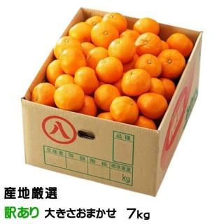 <img class='new_mark_img1' src='https://img.shop-pro.jp/img/new/icons1.gif' style='border:none;display:inline;margin:0px;padding:0px;width:auto;' />みかん 温州みかん 産地厳選 風のいたずら ちょっと訳あり 大きさおまかせ 7kg 蜜柑 ミカン ギフト お取り寄せ 【10月上旬より順次発送】