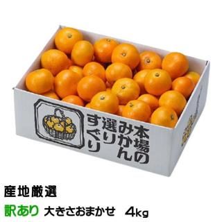 <img class='new_mark_img1' src='https://img.shop-pro.jp/img/new/icons1.gif' style='border:none;display:inline;margin:0px;padding:0px;width:auto;' />みかん 温州みかん 産地厳選 風のいたずら ちょっと訳あり 大きさおまかせ 4kg 蜜柑 ミカン ギフト お取り寄せ 【10月上旬より順次発送】