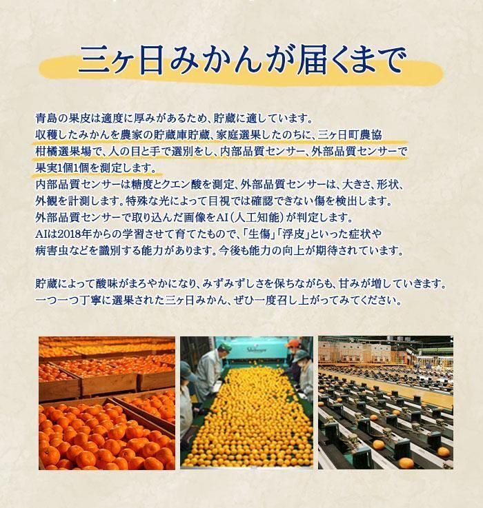 みかん 三ヶ日みかん 濃蜜青島 青秀 3L～Sサイズ 2.5kg 静岡県産 JA