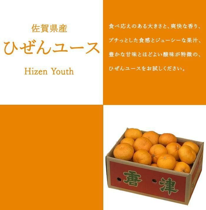 みかん ひぜんユース 秀品 6L～Lサイズ 5kg にじゅうまると同
