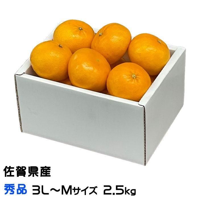マルチ栽培 早生(わせ)温州みかん Mサイズ 5kg | 紀州みかん