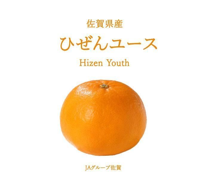 みかん ひぜんユース 秀品 3L～Mサイズ 2.5kg にじゅうまると同