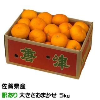 ひぜんユース - はちやフルーツ