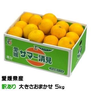 ߤ ޡ Τ ä 礭ޤ 5kg ʲ ɲ