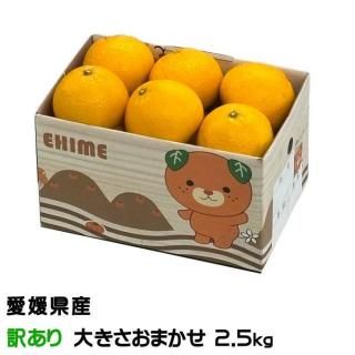 ߤ ޡ Τ ä 礭ޤ 2.5kg ʲ ɲ