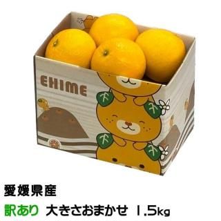ߤ ޡ Τ ä 礭ޤ 1.5kg ʲ ɲ