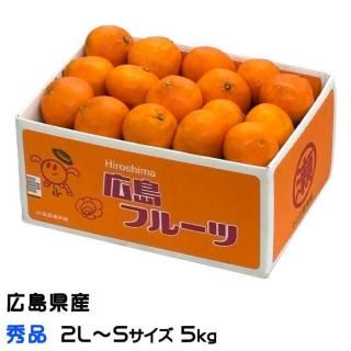 みかん プリンス清見 秀品 2L～Sサイズ 5kg 広島県産 ギフト