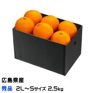 みかん。出品 みかん・柑橘類 - はちやフルーツ