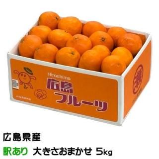 ߤ ץ Τ ä 礭ޤ 5kg 縩 ե