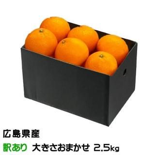 ߤ ץ Τ ä 礭ޤ 2.5kg 縩 ե