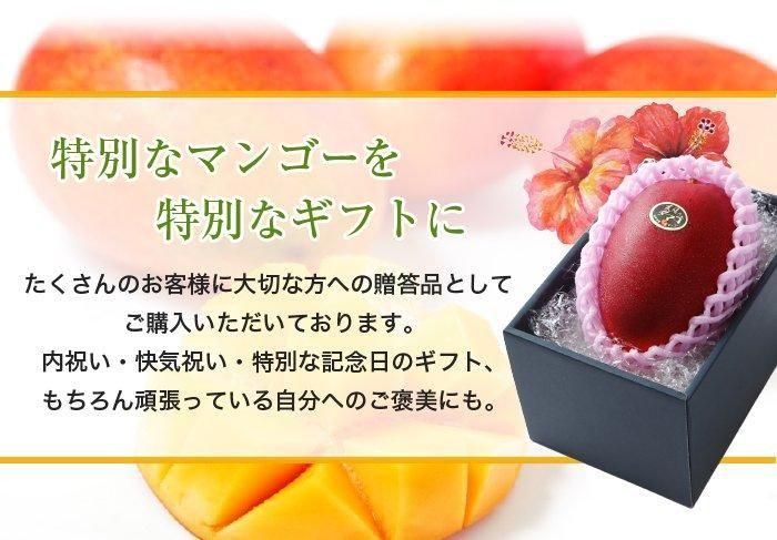 マンゴー 太陽のタマゴ 青秀 3L 450g以上 1玉 JA宮崎経済連 宮崎