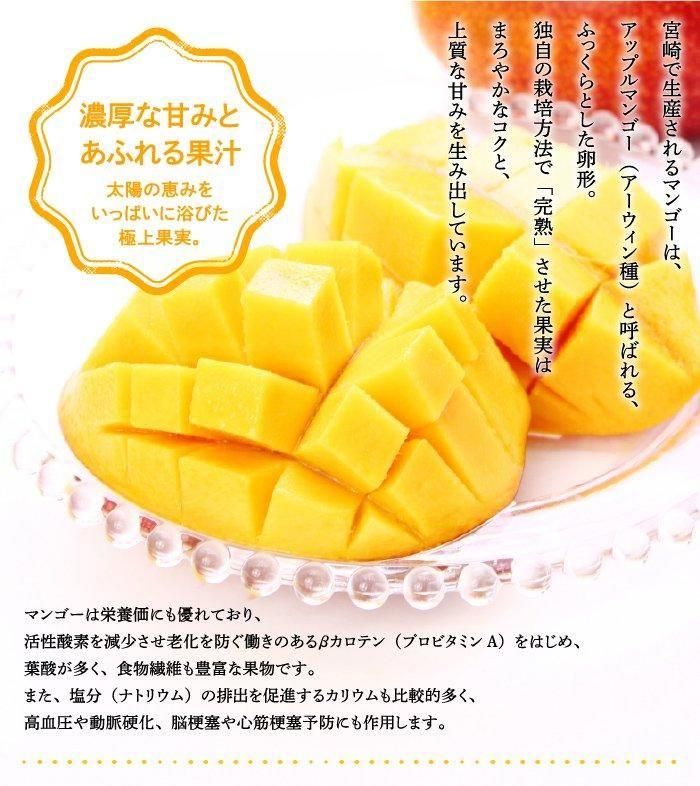 マンゴー みやざき完熟マンゴー 青秀 3Lサイズ 450g以上×3玉