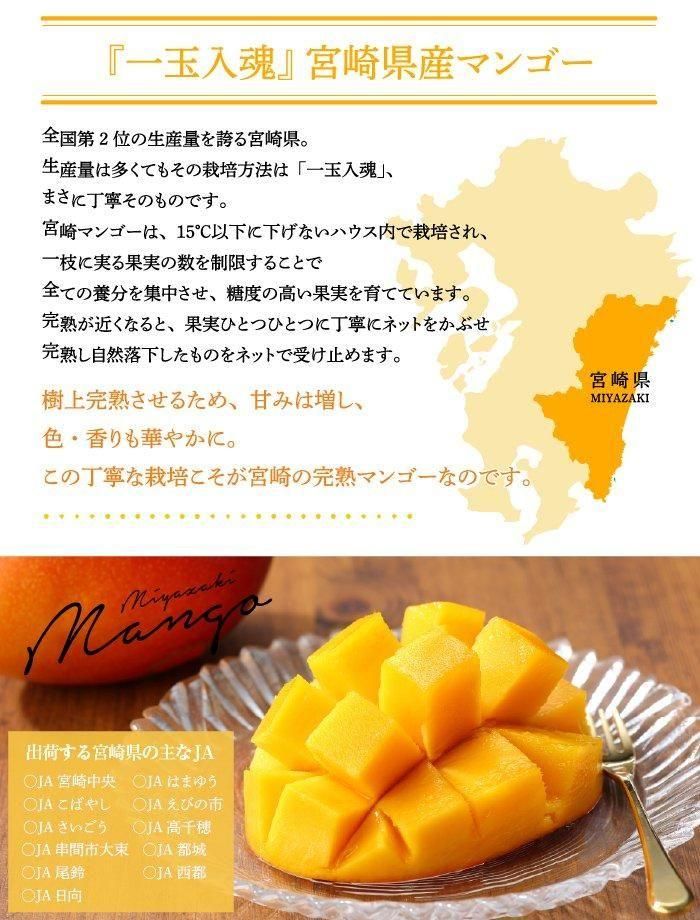 マンゴー みやざき完熟マンゴー 青秀 3Lサイズ 450g以上×3玉