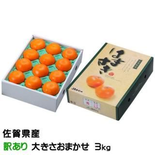 ߤ Ϥޤ Τ ä 礭ޤ 3kg 츩 JA 2ܤ缡ȯ