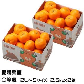 ߤ Ͻդߤ ޥ 2.5kg2Ȣ  2LS ɲ ʣҤ ̾ ߥ ̪ ե 󤻥4ܤ缡ȯ